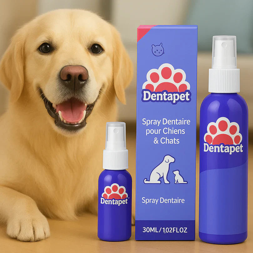 Dentapet™ Spray Dentaire pour Chiens & Chats | Élimine le tartre et rafraîchit l’haleine en 10 secondes!