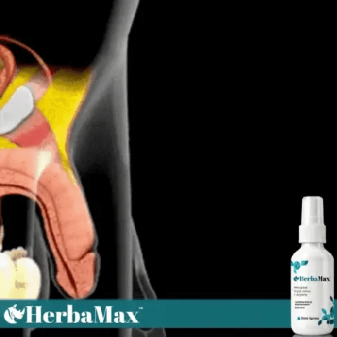 VirilSeaX™ Seaweed Erectile Spray | Hardens your penis in 43 seconds, without pills or injections! image VirilSeaX™ Seaweed Erectile Spray | Hardens your penis in 43 seconds, without pills or injections!