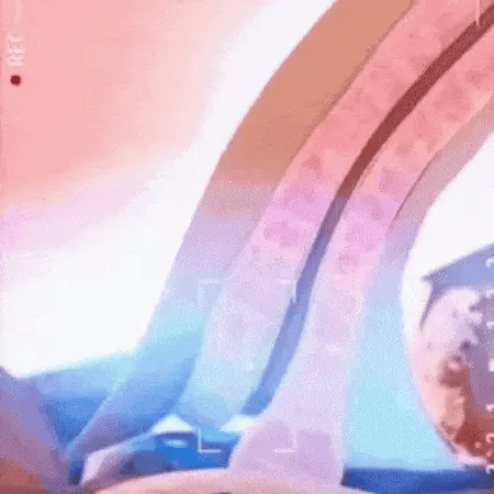 VirilSeaX™ Seaweed Erectile Spray | Hardens your penis in 43 seconds, without pills or injections!